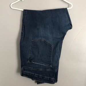 Loft plus modern skinny Jean